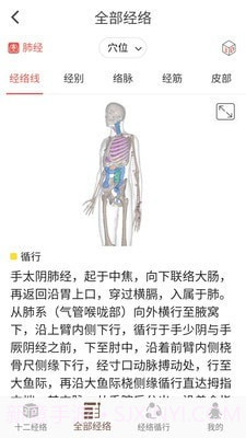 3D BODY(经络穴位3D)截图3 3D BODY(经络穴位3D)截图3