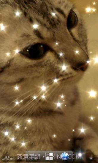 璀璨光芒动态壁纸截图3 璀璨光芒动态壁纸截图3