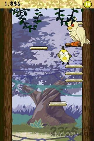 小鸟跳跳手机版截图3 小鸟跳跳手机版截图3