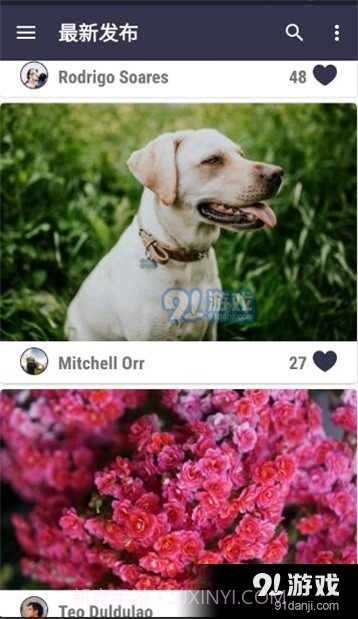 套图岛截图2 套图岛截图2