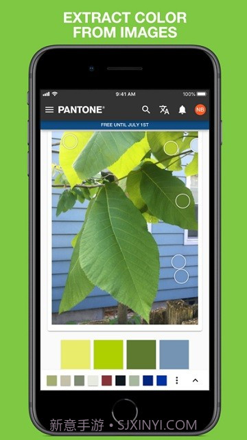 pantone截图3 pantone截图3