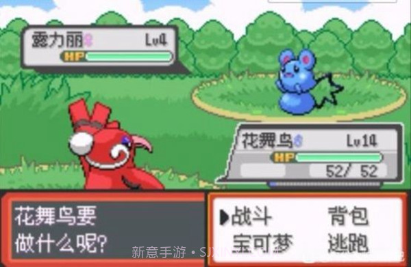 口袋妖怪青苔随机版截图2