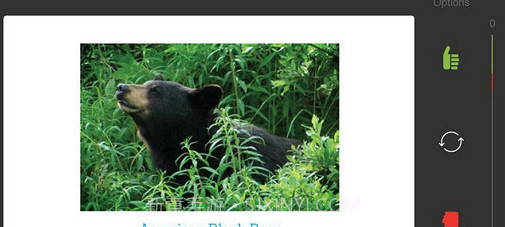 STUDYBLUE Flashcards截图1