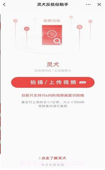 今日头条灵犬官方版截图1