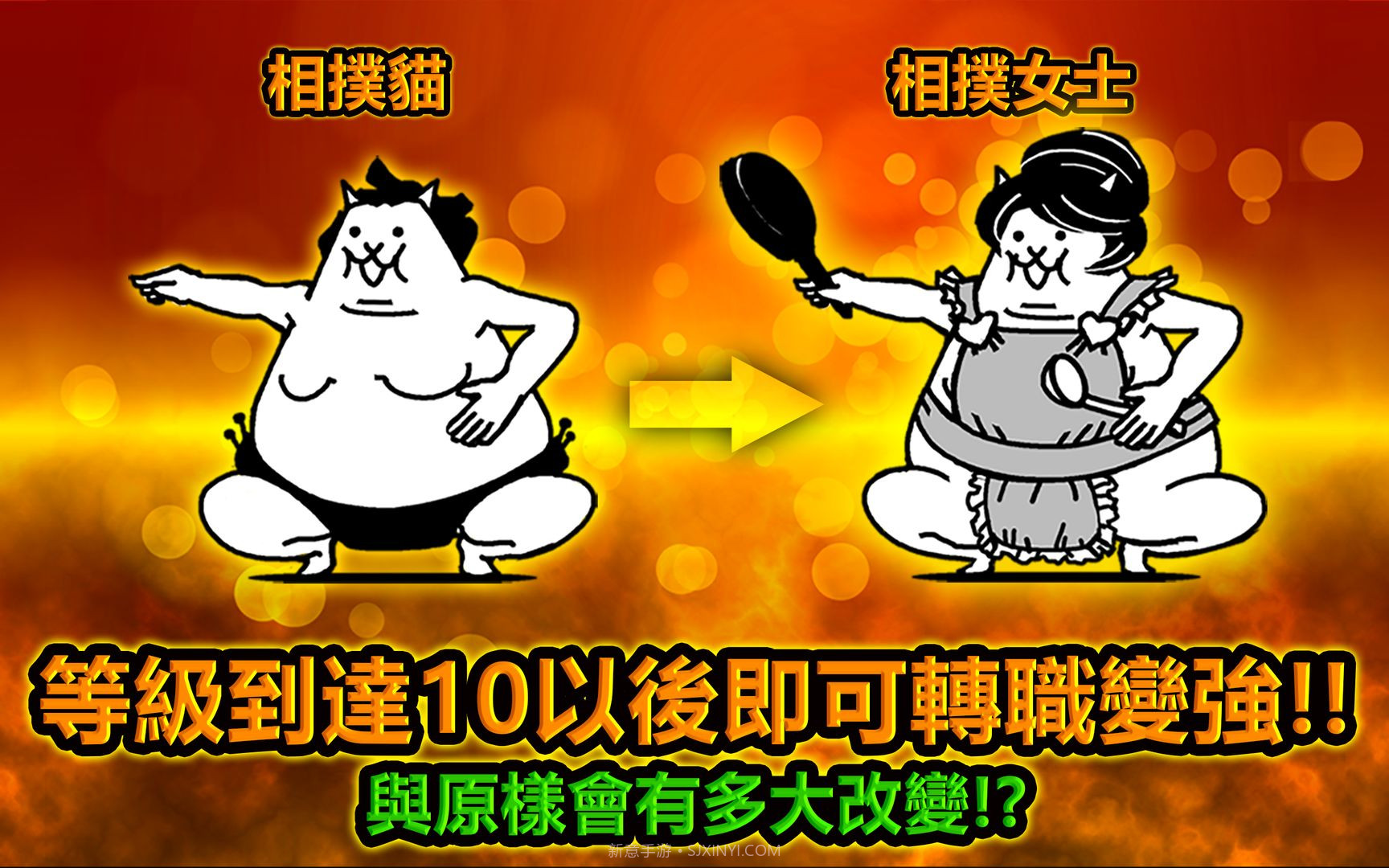 猫咪大战争11.0.0无限罐头截图2