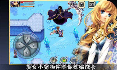 暗黑地下城无尽之剑v1.2截图1