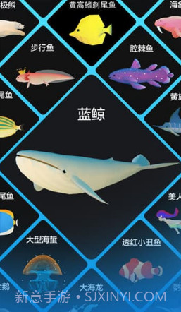 深海水族馆2019截图3 深海水族馆2019截图3