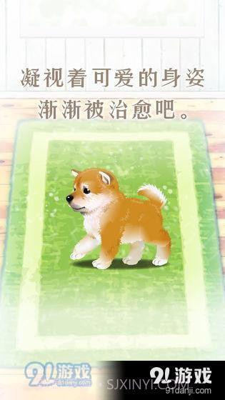 养育柴犬的治愈游戏截图2