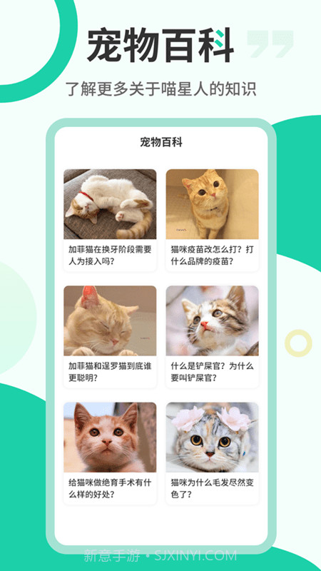 猫叫翻译机截图2 猫叫翻译机截图2