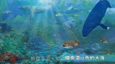 全民养鲸鱼正版截图1