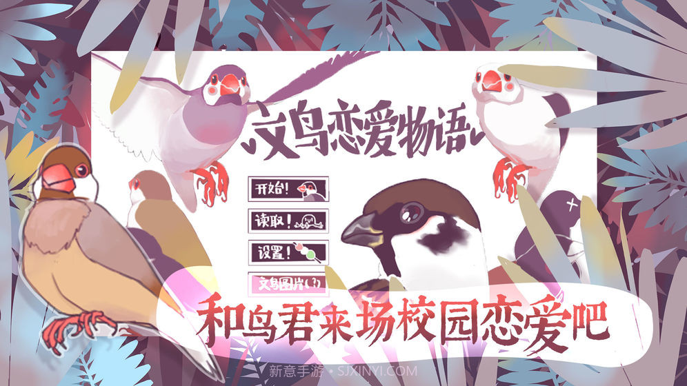 文鸟恋爱物语官网版截图1