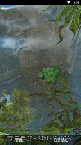 3d鱼池动态壁纸（Koi）截图2