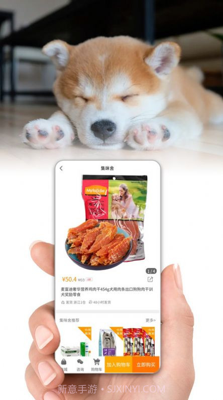 集咪舍宠物会员商城截图2 集咪舍宠物会员商城截图2