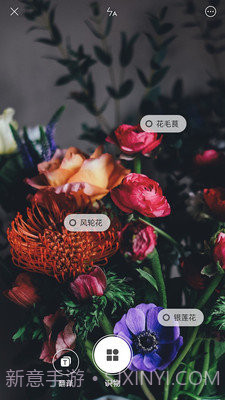 小米智能识物截图3