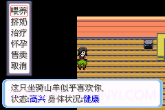 可梦之牧场物语GBA版截图1