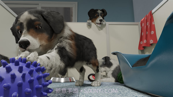 云养狗模拟器截图3