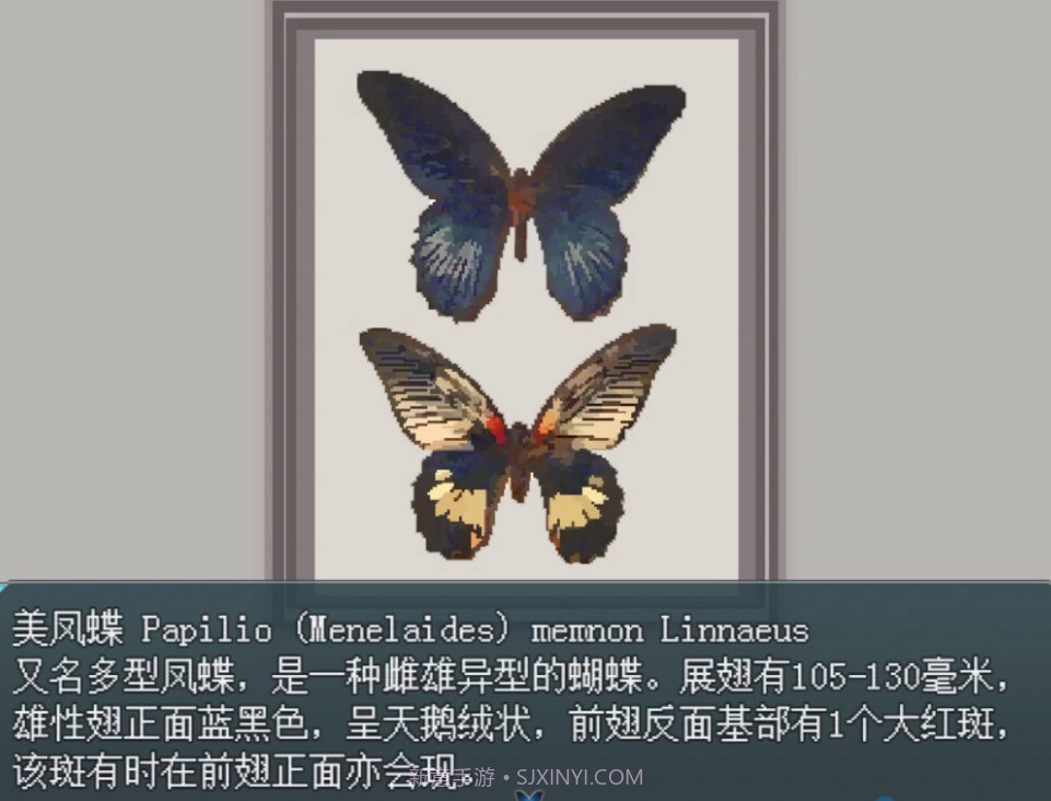 白夜博物馆测试版截图5