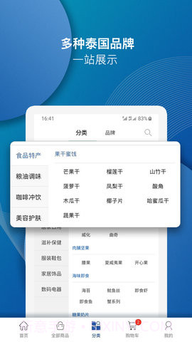 泰海淘老版本截图3