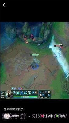 猫咪小视频截图2