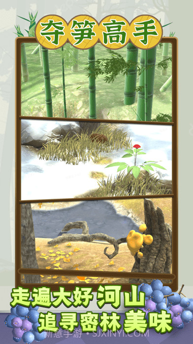 夺笋高手截图1