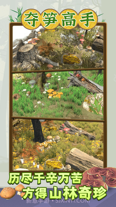 夺笋高手截图3