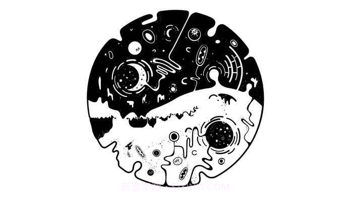 OVIVO截图5 OVIVO截图5