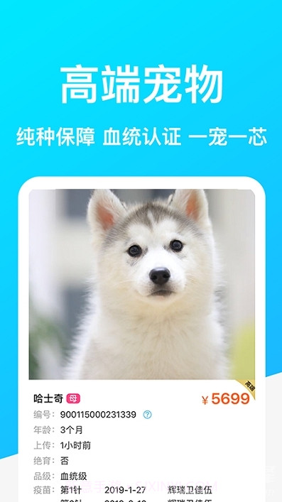 Dog Breeds狗品种(拍照辨识狗狗品种工具)V1.1 安卓手机版截图2