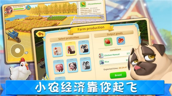 城市梦想家截图4