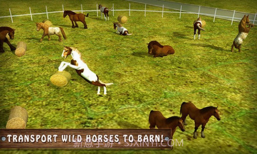 模拟野马动物园运输卡车截图3 模拟野马动物园运输卡车截图3