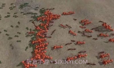 模拟地下蚁国截图1