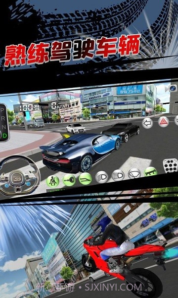 3D开车教室2023版截图3