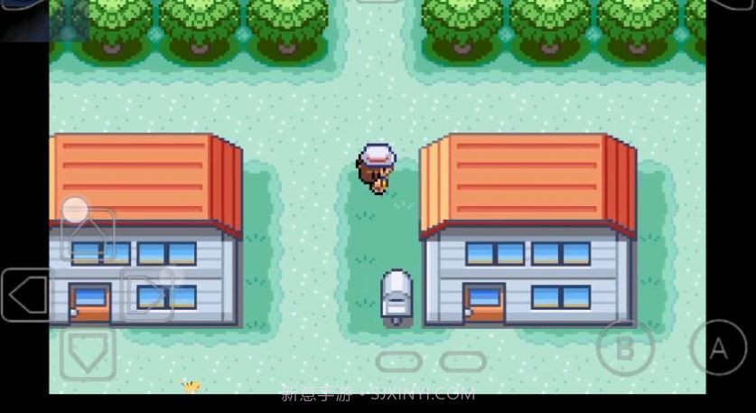 口袋妖怪宝可梦融合维度中文版截图3