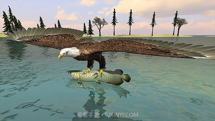 猎鹰模拟器截图1