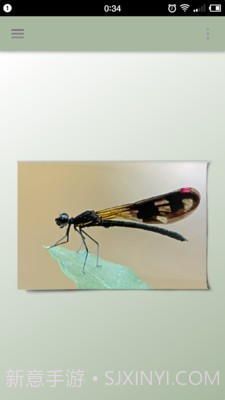 一幅相框v2.660截图1 一幅相框v2.660截图1