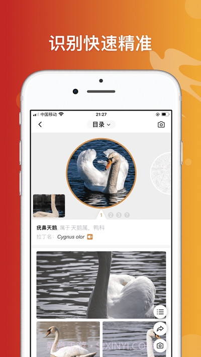 形色识鸟截图2 形色识鸟截图2