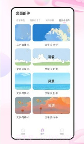 迷你小组件截图3