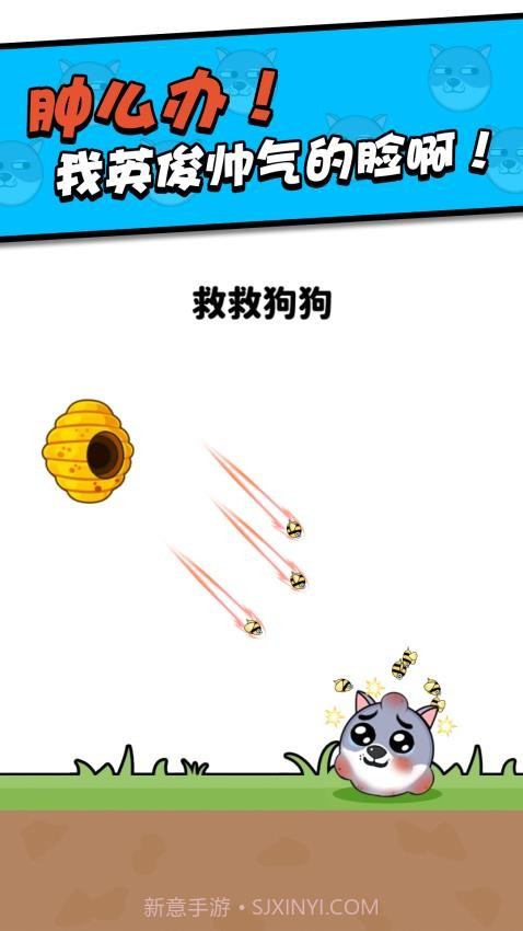 救救小狗最新版截图3