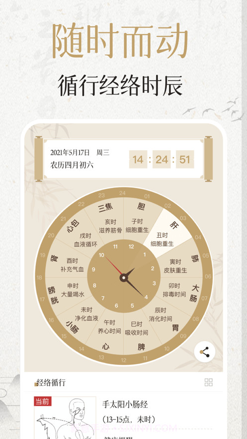 中济经络穴位截图4