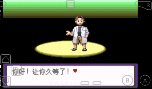 口袋妖怪漆黑的魅影最新版v5.0截图3