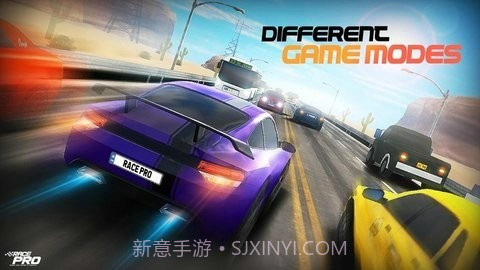 赛车专家交通中的赛车手截图3