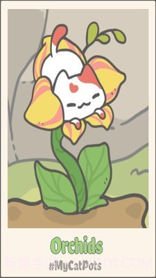 我的猫盆栽截图4