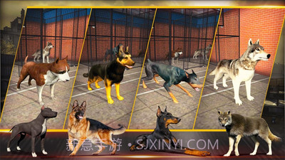 三角洲部队突击队截图1 三角洲部队突击队截图1