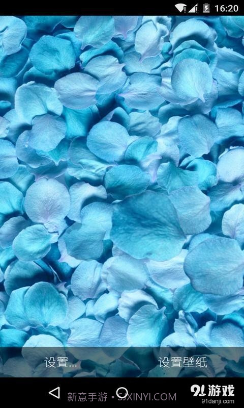 3D落花海：梦象动态壁纸截图3