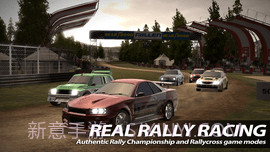 拉力赛2Rush Rally 2截图1