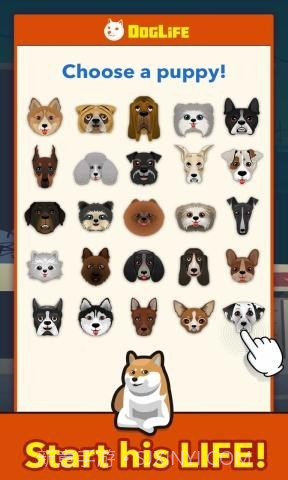 狗狗的一生截图3