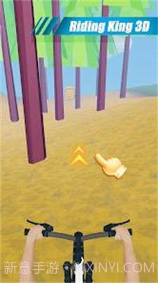 骑行王3D截图1