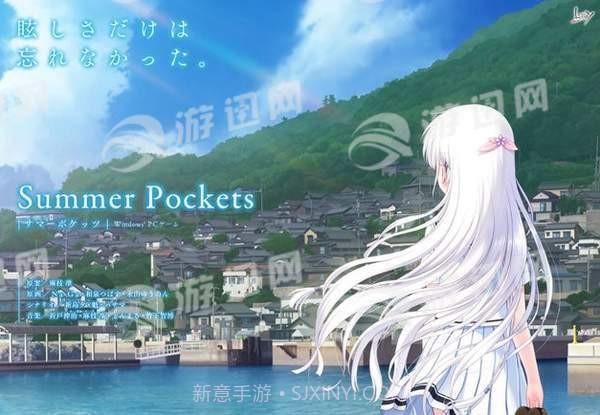 夏日口袋免费版截图1