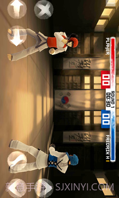 跆拳道大奖赛高画质版截图3