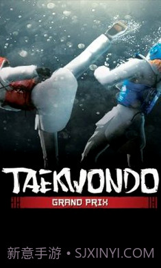 跆拳道大奖赛官方版截图2