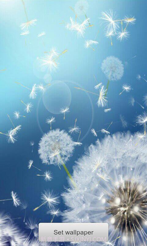 恋上蒲公英梦象动态壁纸安卓V1.2.11 中文版截图3